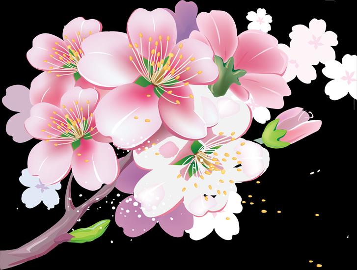 Kwiaty wiśni i jabłoni - 620ef08a339f.png
