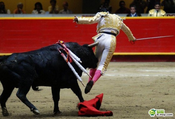 Pogromcy byków - spain-spanish-bullfighting-matadors-13-560x382.jpg