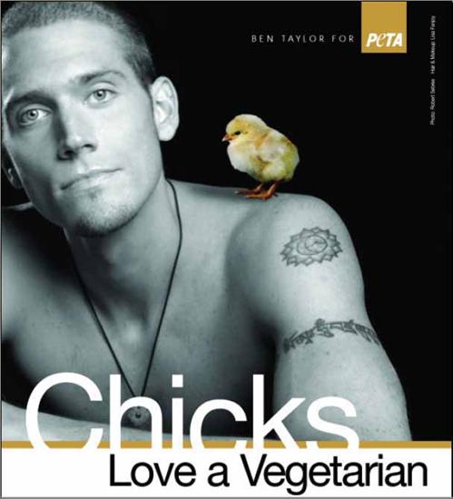 Vege - chicks love a vegetarian.jpg