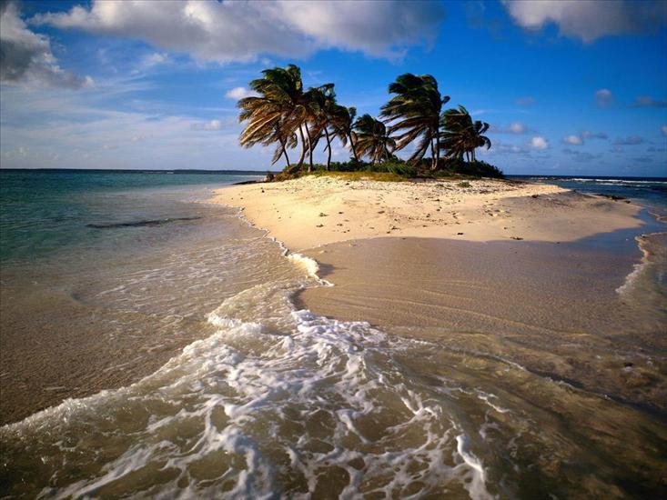 tapety morze palmy - Widok 10.jpg