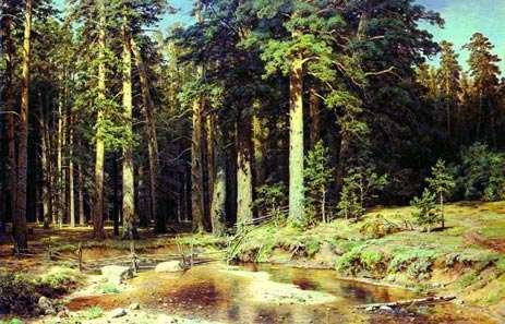 Iwan Iwanowisz Szyszkin - shishkin - mast tree grove.jpg