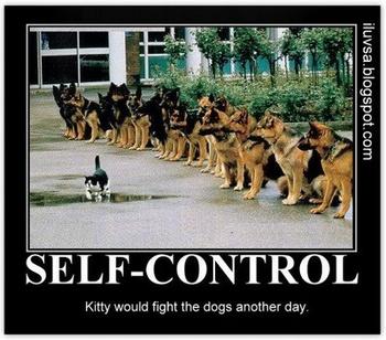 Śmieszności - self_control__sheperds_with_cat_xlarge.jpeg