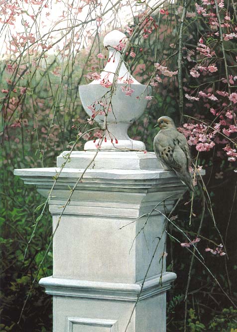 symbols  reflections - isaac_garden tapestry mourning dove.jpg