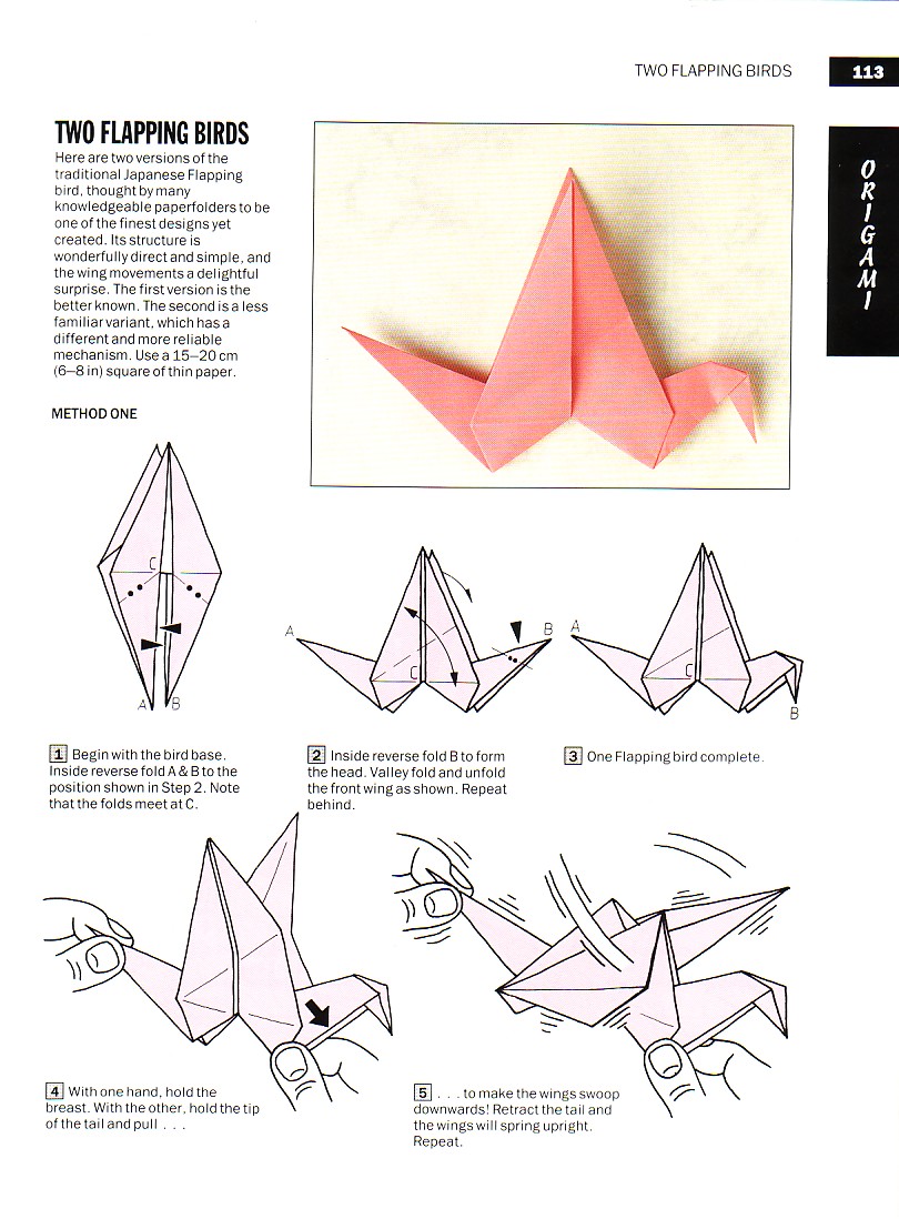 origami - Paul 113.jpg