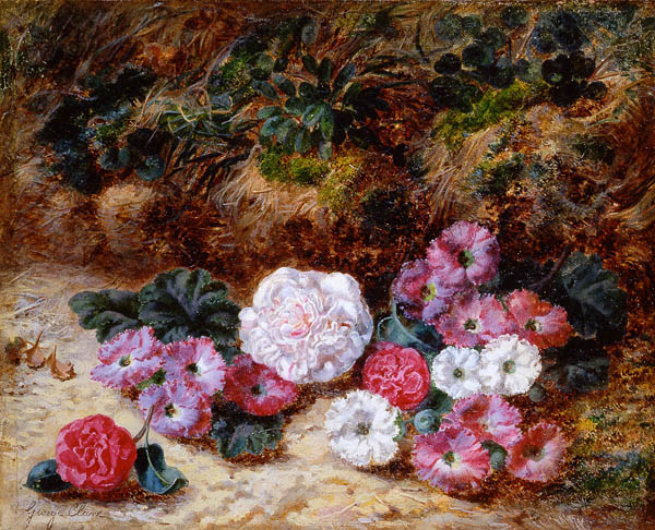 K w i a t y  w malarstwie światowym - Camellias and Primulas.jpg