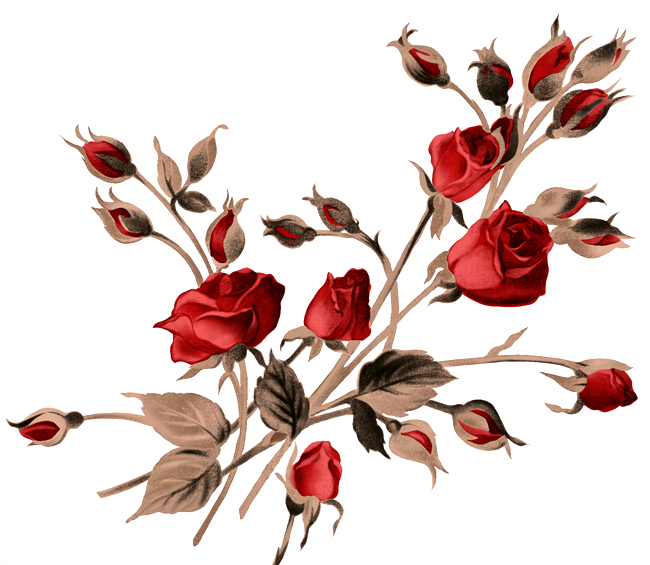 kwiaty bukiety png Chomisia52 - redroses021.png