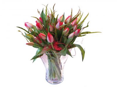 tulipany - tulipany28.jpg