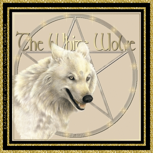 grafiki - animals_whitewolf_lightning_witchys.gif