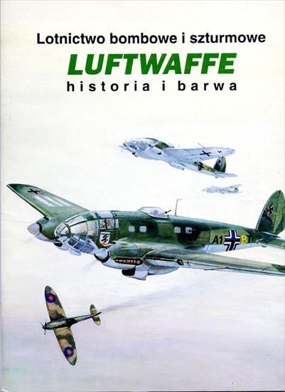 Historia wojskowości - HW-Przysuski G.-Lotnictwo bombowe i szturmowe Luftwaffe. Historia i barwa.jpg