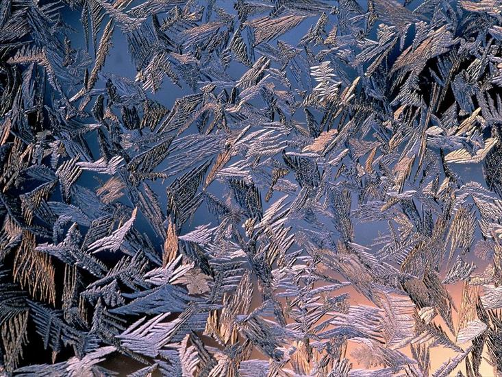 Krajobrazy - Morning Frost - 1600x1200 - ID 36.jpg