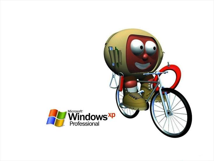 Windows - windows_15.jpg