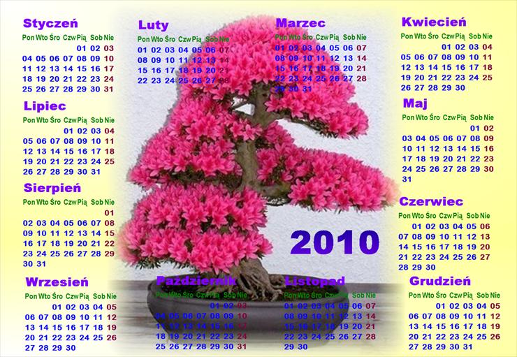 Super Kalendarze 2010  - 1521.bmp