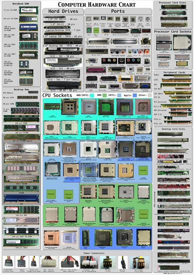 rufus4 - Computer_hardware_poster_1_7_by_Sonic840.jpg