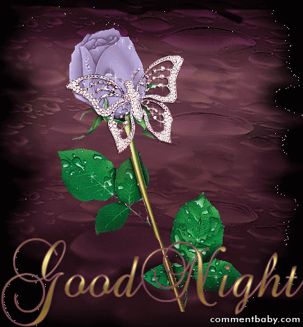 Good Night - 53001612.gif