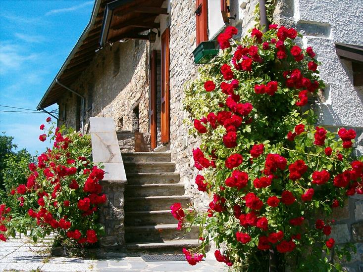 schody - DAndrias-House-Roses.jpg