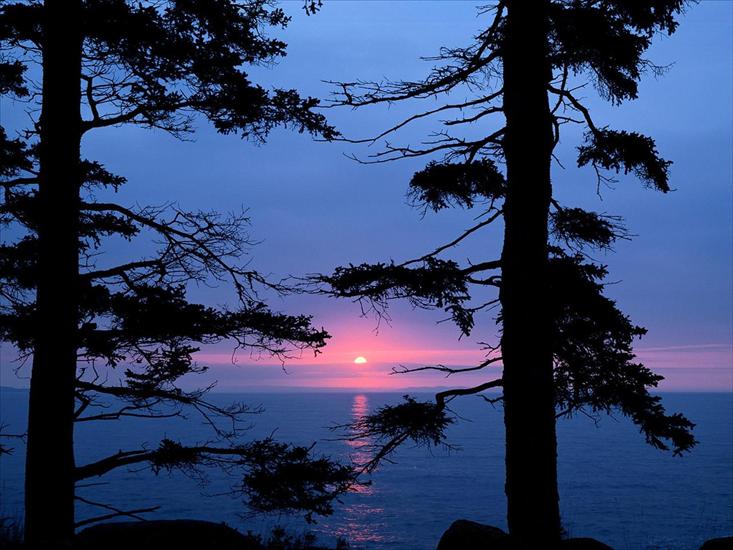 397 ujęć Natury HQ - Atlantic Sunrise, Acadia National Park, Maine.jpg