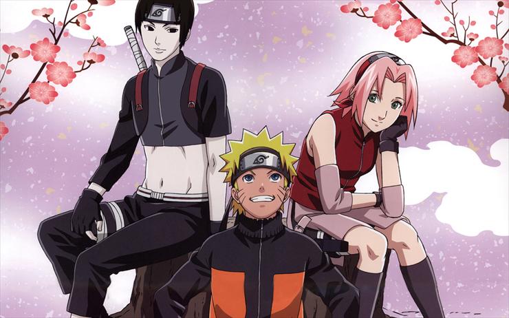 Naruto - 1280-by-800-394354-20090228054715.jpg