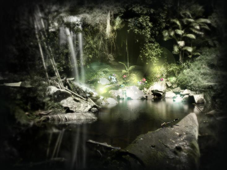 Fascynujące Tapety - lush_forest.jpg