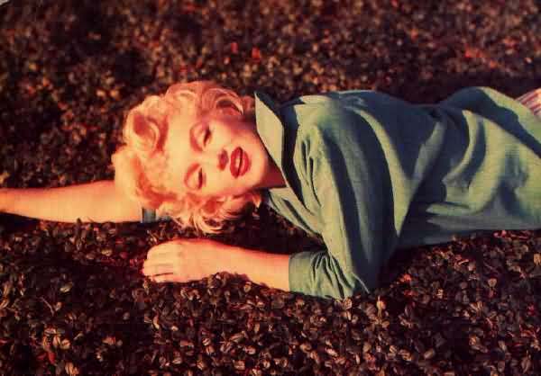 1000 Marilyn Monroe Pictures - 249.jpg